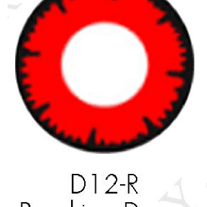 D12R (2)