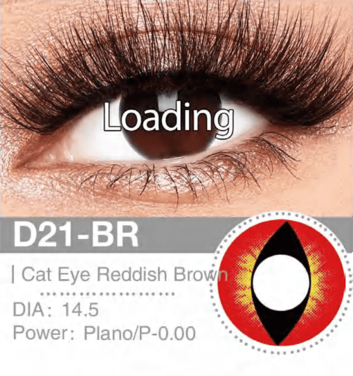 d21br