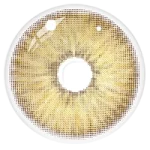 لنزعسلی